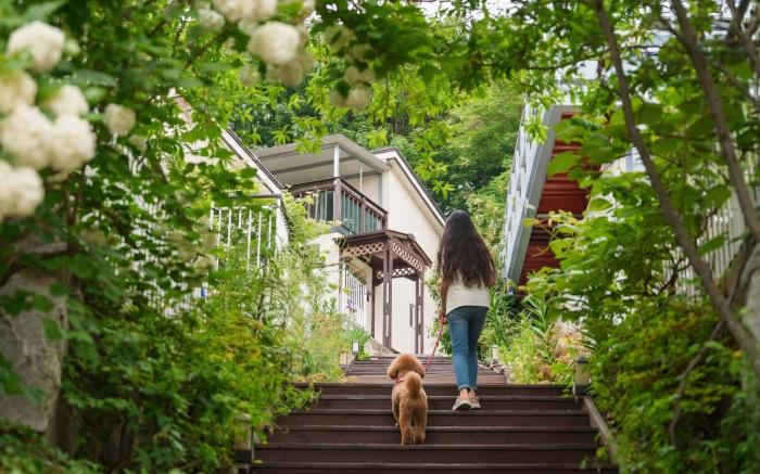 Ganghwa Raube Pet-friendly Pension