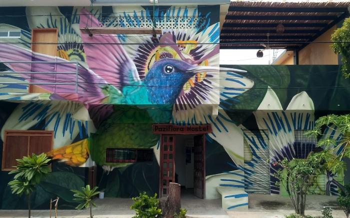 Paziflora Hostel