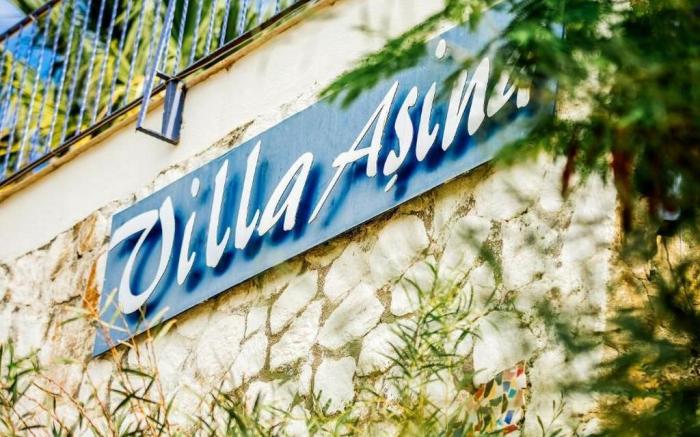Villa Asina