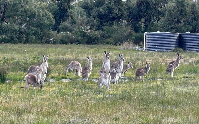 Le Grande Villas Raymond Island