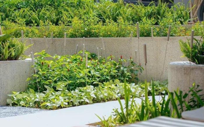 Căn hộ 2 phòng ngủ Vinhomes Grand Park