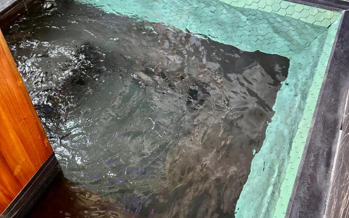 Golden Gorilla Villa with private pool & jacuzzi