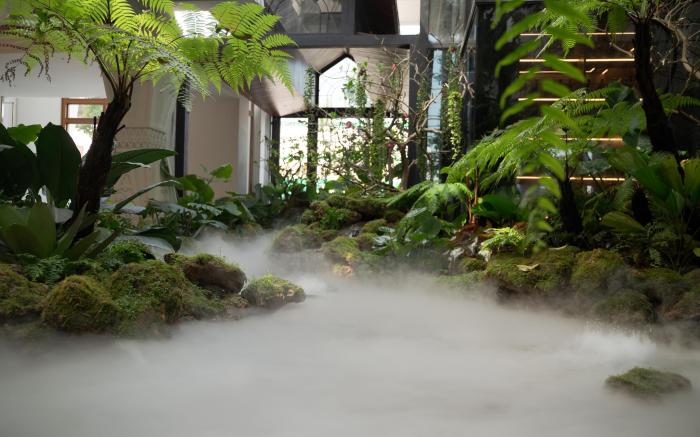 LA PLANTE SIEM REAP