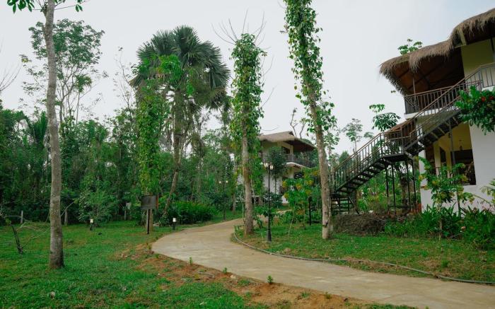 Allison The Tribe Resort