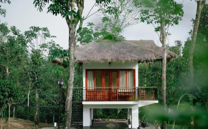 Allison The Tribe Resort