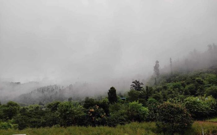 Ghughuti Homestay