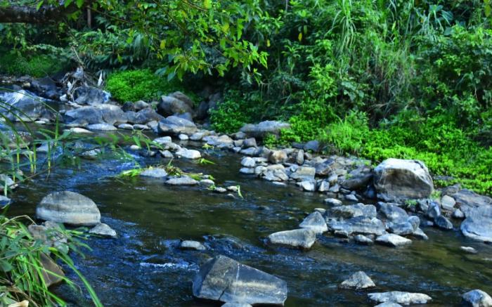 coorg river valley retreat