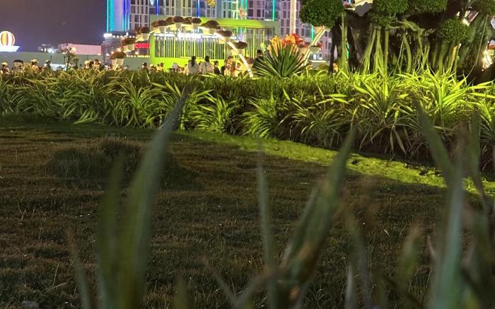 Sophia Apartment S14-08