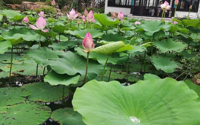 Hanting Hotel Suzhou Gusu Yungu Changjing Metro Station