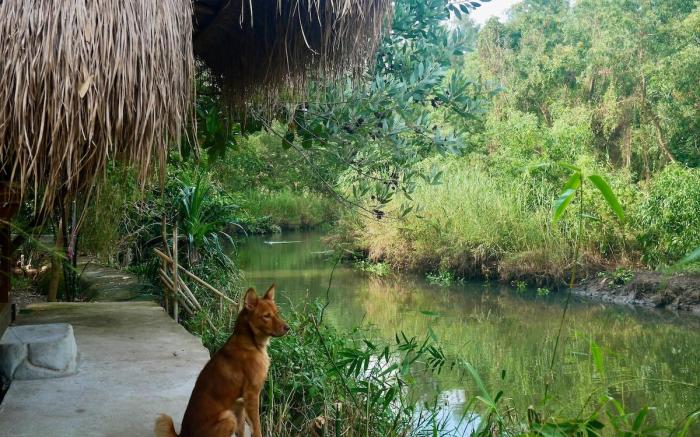 AC Riverfront Cabin for Nature Lovers in Zambales