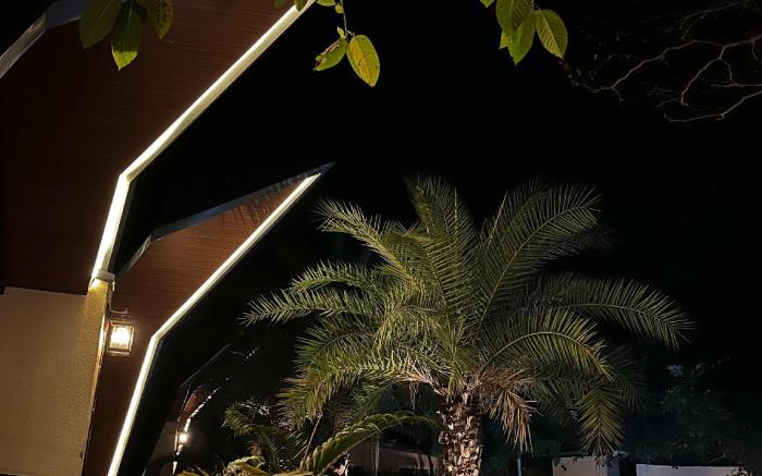 Birds Nest Resort