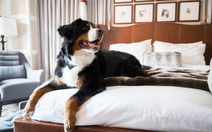 St. Regis Residence Club, Aspen