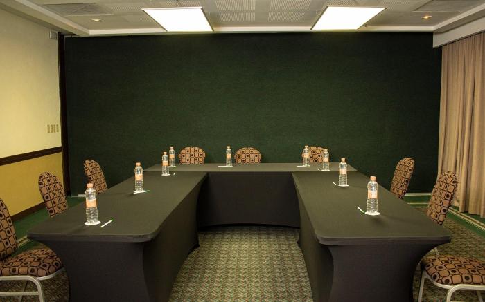 Holiday Inn Leon By IHG
