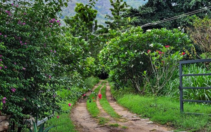 Pannadikadu Homestay 
