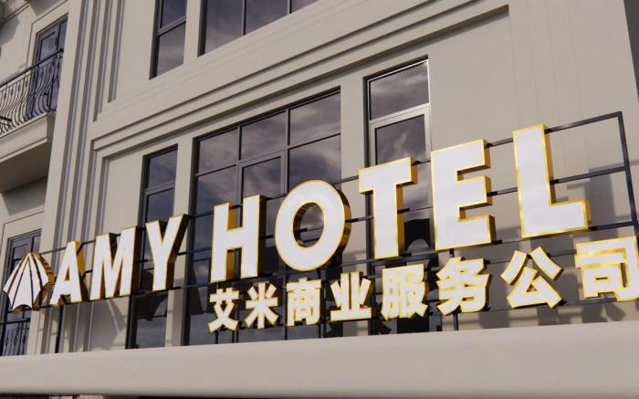 AMY HOTEL