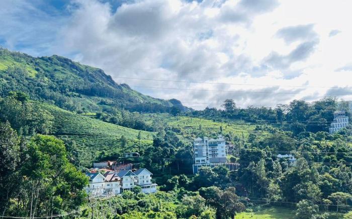 Nest Mountain Munnar