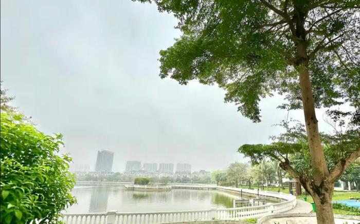 Nhung’s Vin Homestay 3121