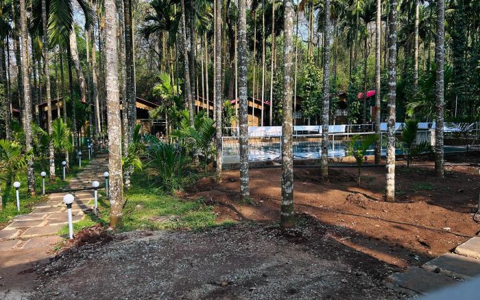 Fly Wing by Triptastic Holidaze