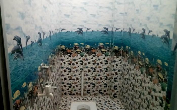 prakhar homestay