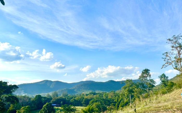 Rabbit Forest สวนผึ้ง
