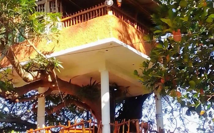Mango tree hotel & restaurant 