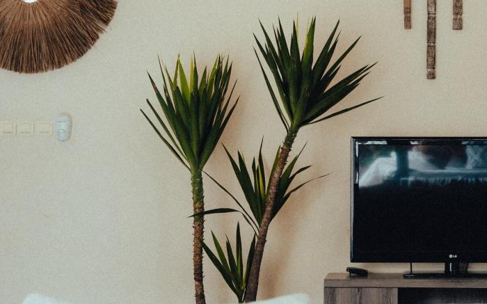 Stylish 2 bedrooms Villa with pool in Canggu TSL