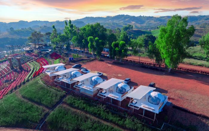 Khaokho flower camp