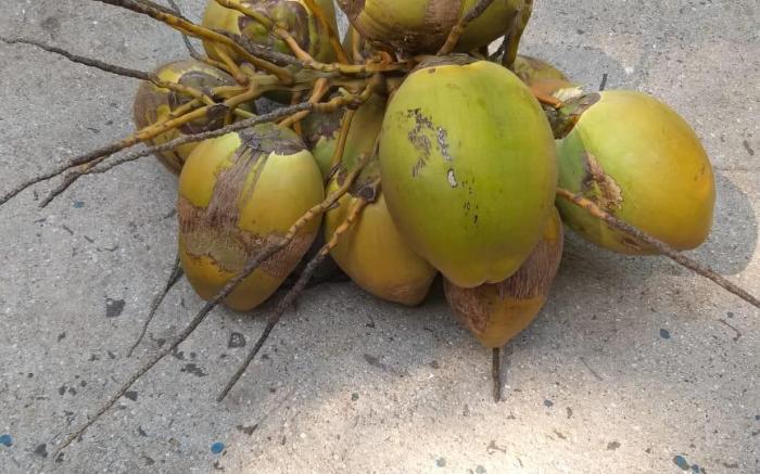 Prasad villas and homestay