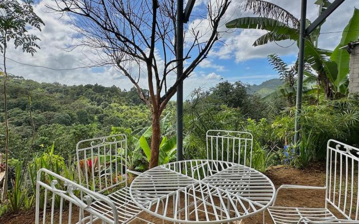 Tanay Nature Camping at a Coffee Shop (G3)