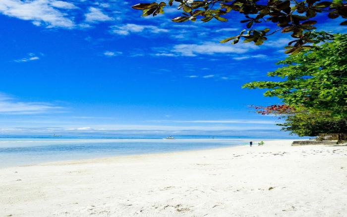 Dubay Panglao Beachfront Resort