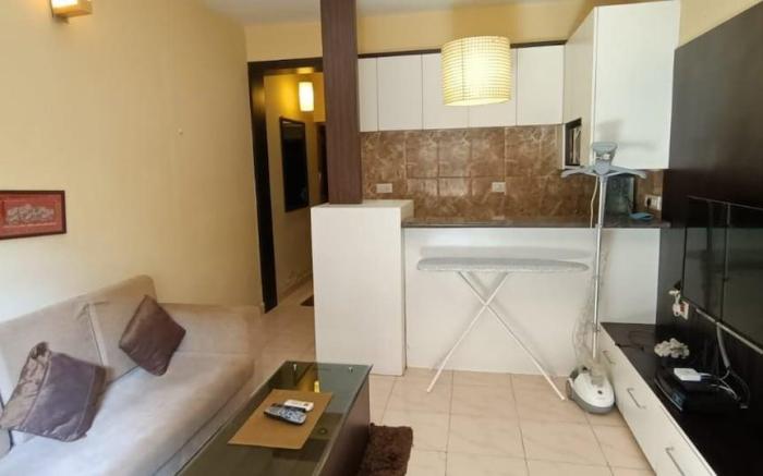 Lavish 1 Bedroom Apartment With Pool/Backup