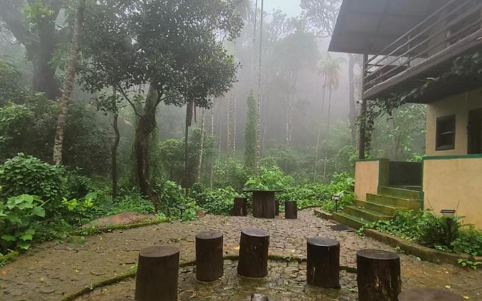 KaatiKaadu