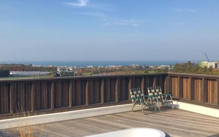 family. Ocean View Family Dogs Available