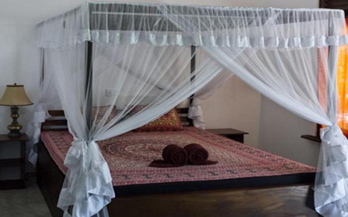 Forcus Cabanas Guest House