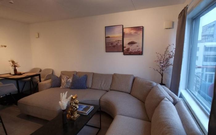 Penthouse in Oslo Central