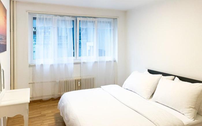 2BDR Charming Apt - City Center