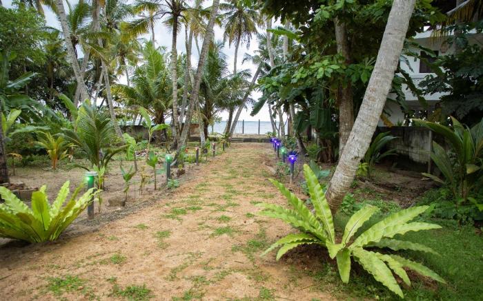 Beach Raised Guest House