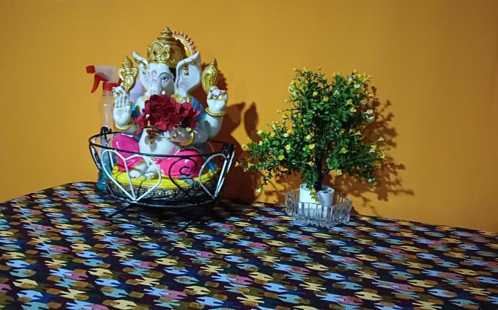 Mountain view homestay Darjeeling 