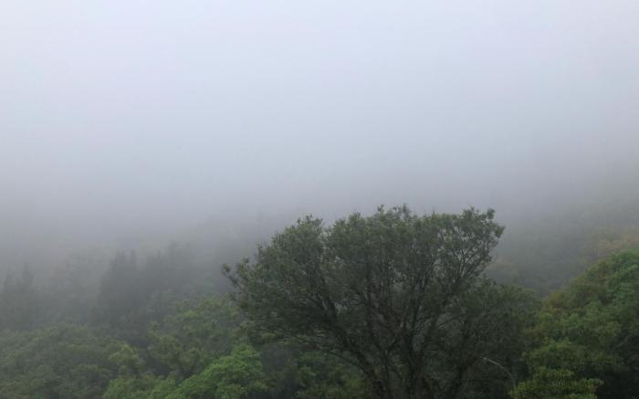 大梅石創生共享家士兵館