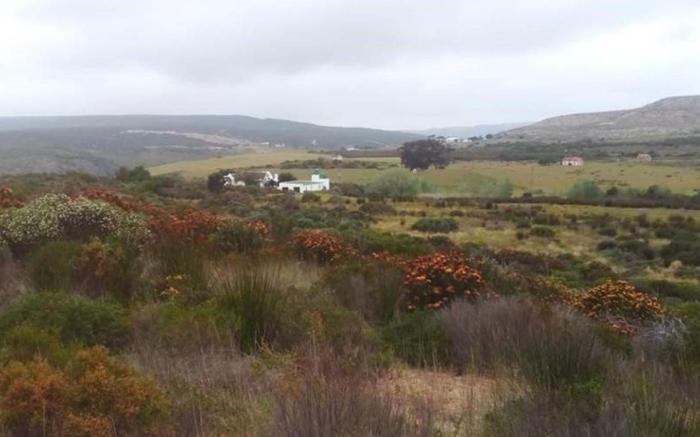 Wild Rescue Nature Reserve