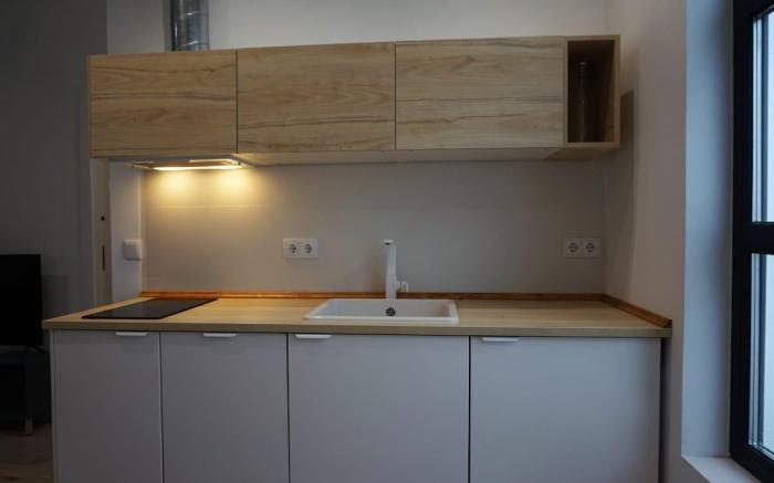 AP2- 2 bedroom apart. in Plaza de la Constitución