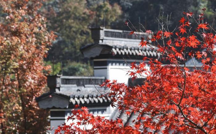 Pusen Lanting Shaoxing