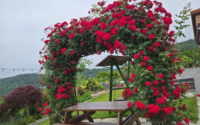 Cheongdo Peach Blossom Private Pension