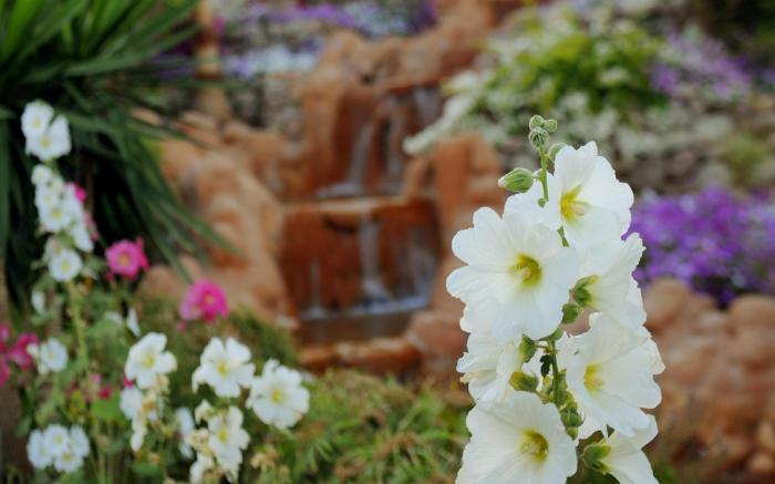 Renaissance Sharm El Sheikh Golden View Beach Resort