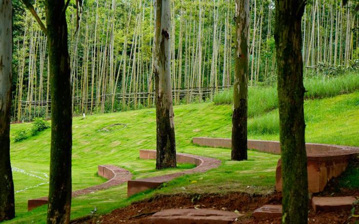 Adamu Nature Resort