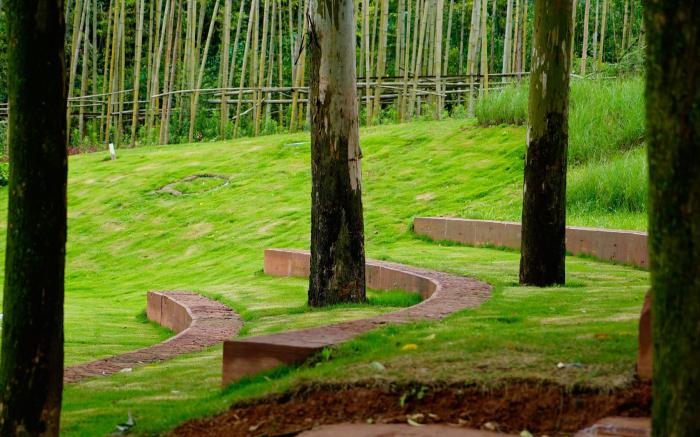 Adamu Nature Resort