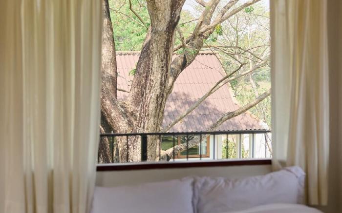 NAMU House #2