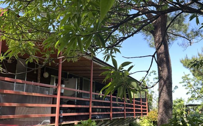 neko house