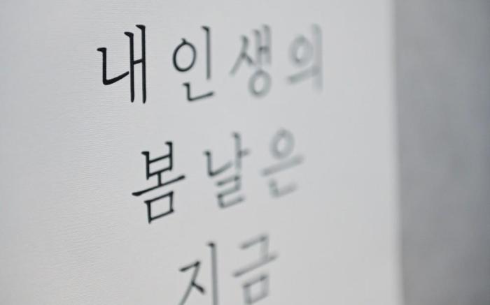 Stay Gapyeong (2025 Renovation)