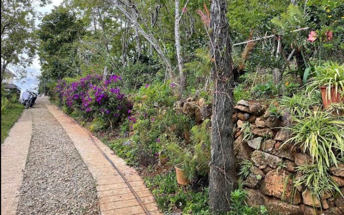 Vuon Hong Le Phuc - Cau Dat Glamping Retreat Da Lat
